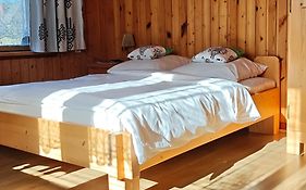 Apartamenty Sosna